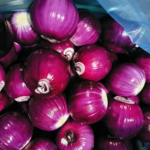 Huaang Food Processing компаниясы тұрақты сапамен нарық үлесін алады