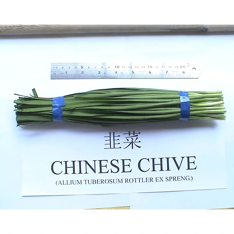 Неліктен Farm Fresh Chinese Chives Азия асханасында кеңінен қолданылады?