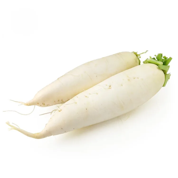 Қытырлақ ақ шалғам