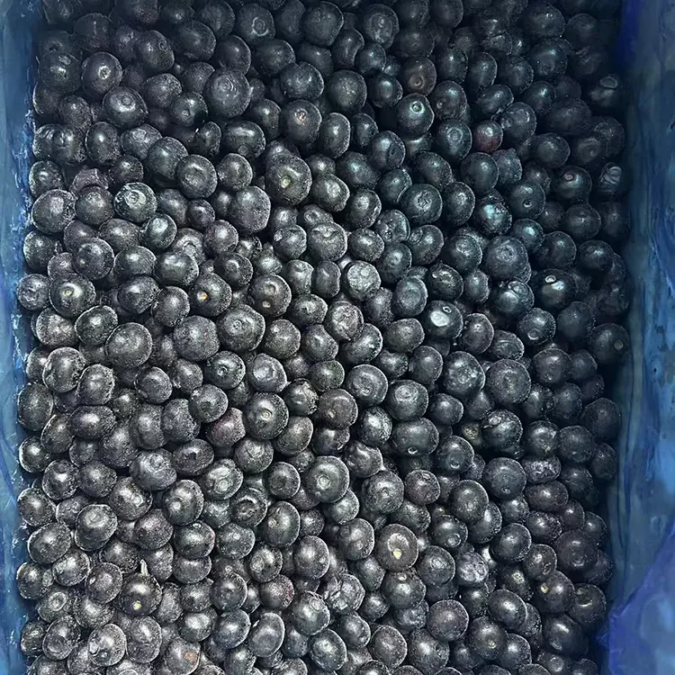 Frozen Blueberry Premium IQF Blueberry
